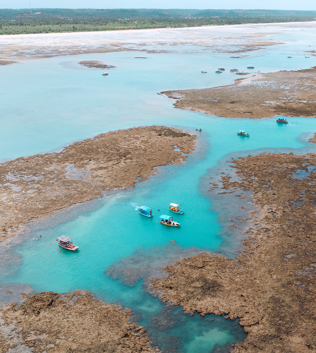 Vista aérea da praia de São Miguel dos Milagres com recifes de corais amostra por maré baixa. Alguns barcos e jangadas ancorados nas piscinas naturais com pessoas nadando.